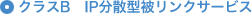 クラスB　IP分散型被リンクサービス