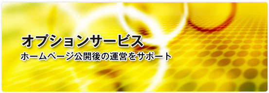 オプションサービスホームページ公開後の運営をサポート