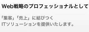 Web戦略のプロフェッショナルとして